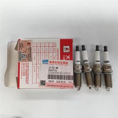 JAC J3 J5 J6 S3 VVT Двигатель зажигалка 10 комплектов Автозапчасти с ОЭ No 1026080GG010
